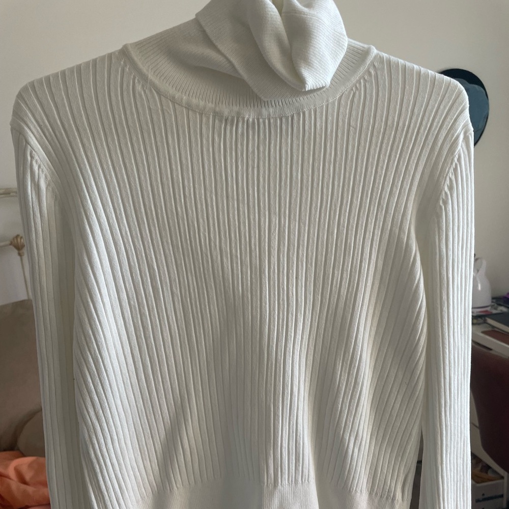 Zara ribbed turtleneck